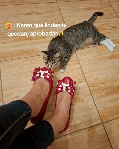 BALERINA CIELO ETERNO ROJO